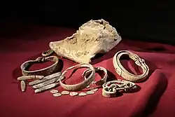 Schatz von Silverdale