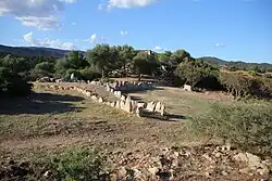 Gigantengrab Su Picante