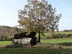 Dolmen Nougayrol