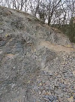 Naturdenkmal Skryjsko-týřovické kambrium