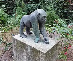 Junger Gorilla Bakala, Forststraße, 1981, Berlin-Steglitz