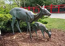 "Rehgruppe" (1910) im Zoologischen Garten Berlin