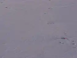 Hütte der Station mit Nebeneinrichtungen, Aufnahme im Anflug auf die Landebahn (Sky Blu Skiway), die etwa 1,5 km von der Hütte entfernt liegt, im Bild oben links.