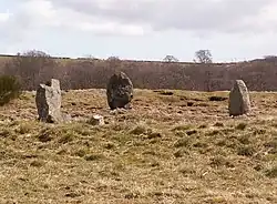 Broomend von Crichie Stones