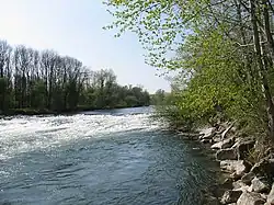 Sohlschwelle in der Ybbs bei Amstetten, Greimpersdorf