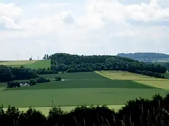 Nordhang, Blick von der Steinegge
