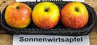Sonnenwirtsapfel