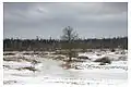 Auenlandschaft im Winter 2008, Soomaa Nationalpark