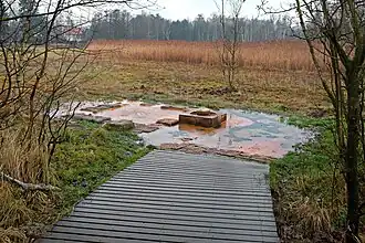 Císařský pramen (Kaiserquelle) im Moor Soos