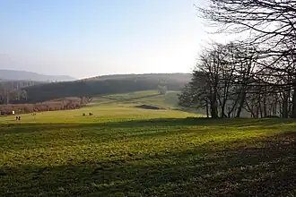 Blick von der Franz-Karl-Fernsicht über die Sophienalpe auf den Hochbruckenberg.