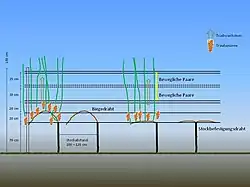 Drahtrahmen­unterstützungs­gerüst für eine Spalier­erziehungs­anlage
