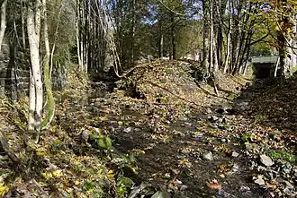 Einmündung des Wäschegrunds in die Sperrlutter