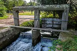 Speyerbach-Wehr oberhalb von Speyerdorf