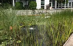 Springbrunnen am Deutschen Herzzentrum