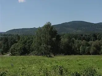 Blick von Wieszczyna auf den Berg