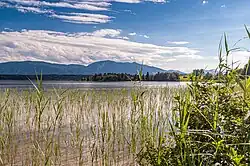 Westliches Ufer im Tannenbach-Filz