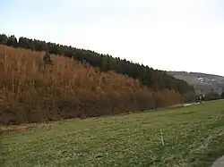 Der Stahlseifer Kopf von Norden aus