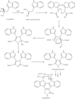 Biosynthese von Staurosporin[10]