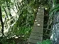 Steg auf dem Sentier des Roches