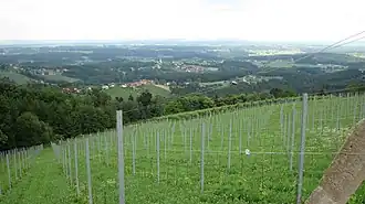 Schilcherweinstraße