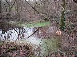 Zweiter Teich durch den der Steinbach fließt