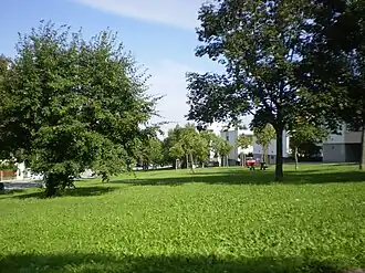 Grünfläche am Nordhang des Steinbergs