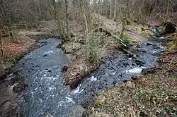 Der Zufluss des Hartenbach (rechts) in die Wied