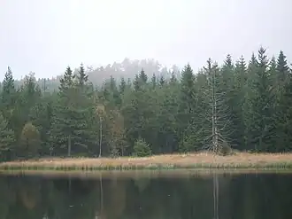 Blick zum Steinhübel