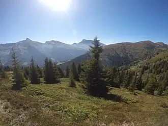 Steinjoch (rechts) von Norden vom Sattelberg