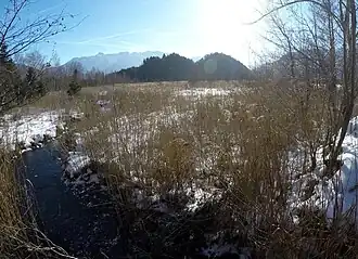 Steinköchel mit dem Krebsbach im Vordergrund.