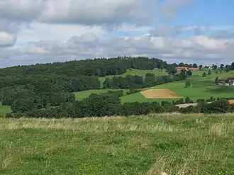 Steinwand von Südosten. Die bei Kletterern beliebte Felswand ragt nur knapp aus dem Wald.