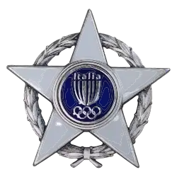 Stella al merito sportivo Silber