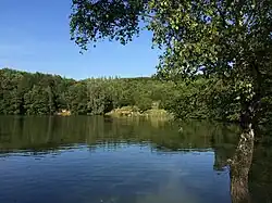 Stellbergsee