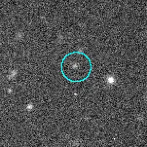 Entdeckungsbild von Stephano