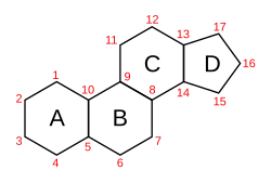 Strukturformel von Steran.