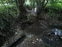 Zusammenfluss von Stettener Haldenbach und Mönchswiesenbach