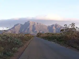 Bluff Knoll im Stirling-Range-Nationalpark