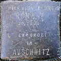 Stolperstein für eine Rommni (Peterstraße 31)