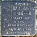 Stolperstein für Anna Johanna Blumenfeld (Robert-Heuser-Straße 3)