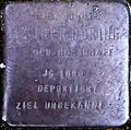 Stolperstein für Esther Düring (Nietzschestraße 6)