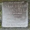 Stolperstein für Anna Johanna Blumenfeld (Wörthstraße 17)