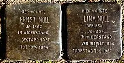 Stolpersteine für Ernst und Lina Moll