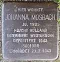 Stolperstein für Johanna Mosbach (Rheinaustraße 18)