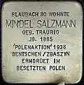 Stolperstein für Mindel Salzmann (Blaubach 80)