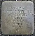 Stolperstein für Rachel Ziegellaub (Thieboldsgasse 102)
