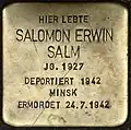 Stolperstein für Salomon Erwin Salm (Moselstraße 44)