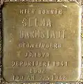 Stolperstein für Selma Darmstadt (Rathenauplatz 4)