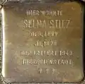 Stolperstein für Selma Stilz (Kartäuserhof 37)