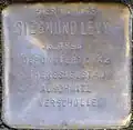 Stolperstein für Siegmund Levy (Rubensstraße 33)
