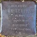 Stolperstein für Walter Herz (Neue Maastrichter Straße 3)